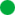 pastille-verte